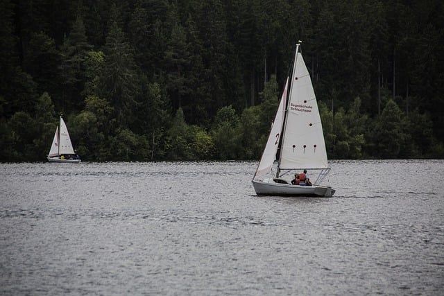 Two sailboats on a lake